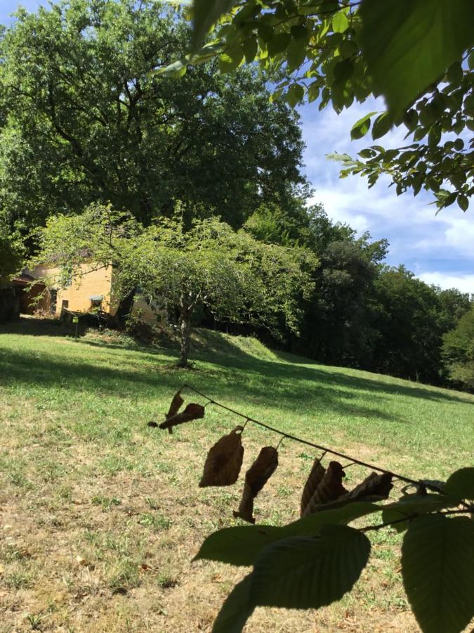 Villa Logis des 4 fées Sainte-Nathalène Esterno foto